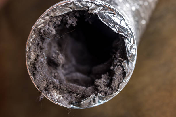 Air Duct Mold Removal in University Heights, IA